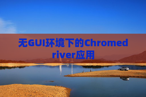 无GUI环境下的Chromedriver应用