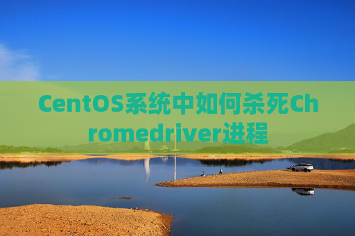 CentOS系统中如何杀死Chromedriver进程