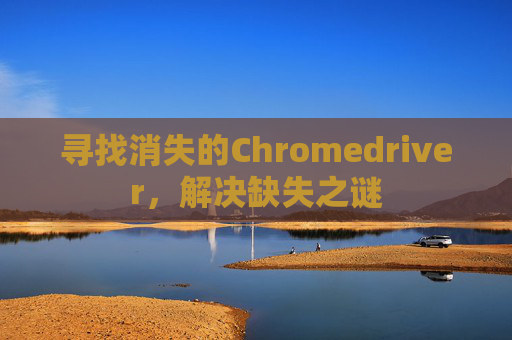 寻找消失的Chromedriver，解决缺失之谜